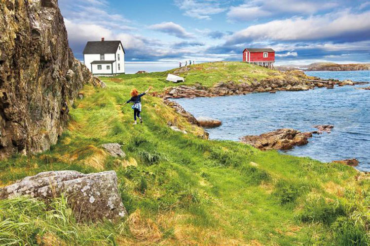 Go off the beaten track in Newfoundland and Labrador this summer with three DeNure Tours